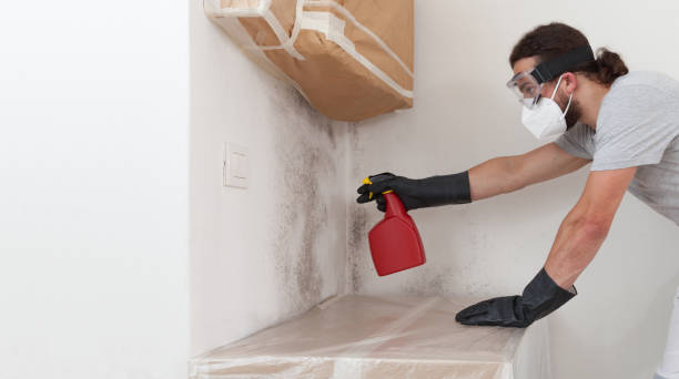 Professional Crawl Space Mold Remediation technician working in Winthrop, MA
