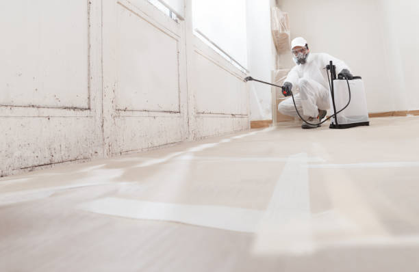 24/7 Emergency Crawl Space Mold Remediation experts in Winthrop, MA